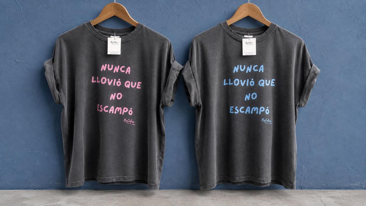 Camiseta Nunca Llovió que no Escampó