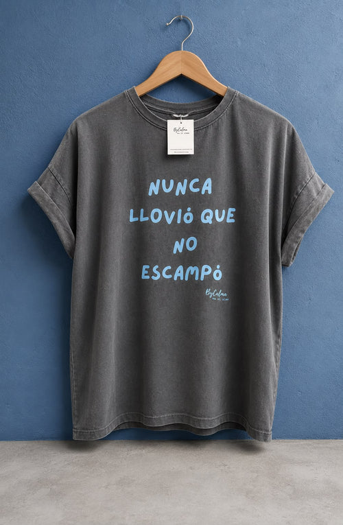 Camiseta Nunca Llovió que no Escampó