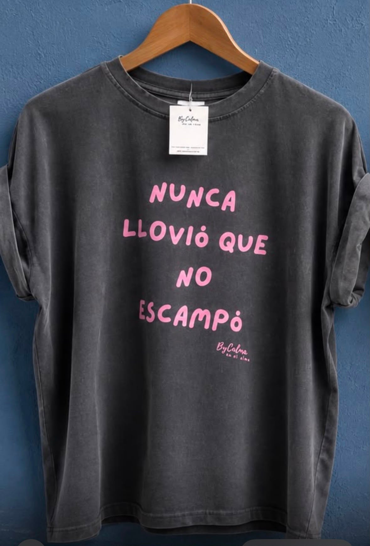 Camiseta Nunca Llovió que no Escampó